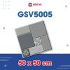 Gạch Lát Sân Vườn Gốm Mỹ GSV5005